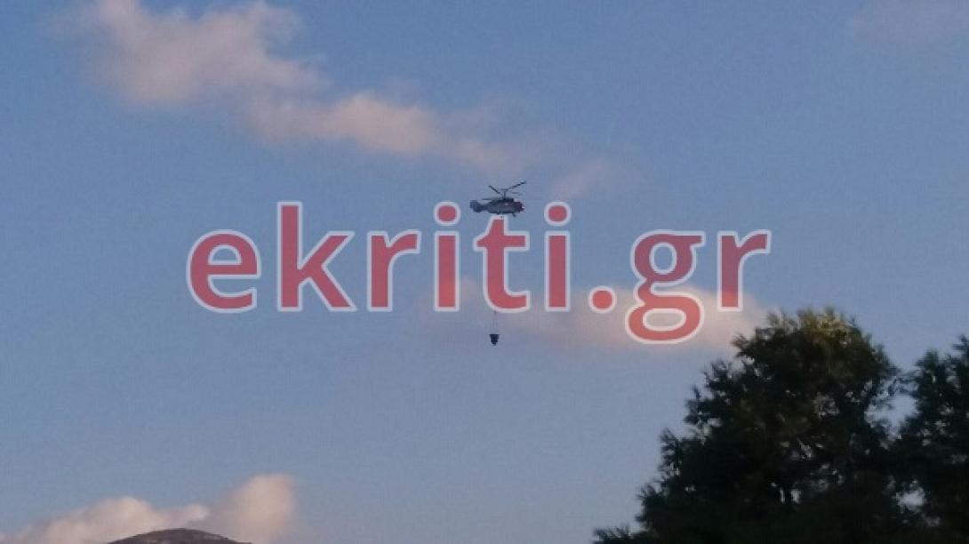 elikopetro_3.jpg