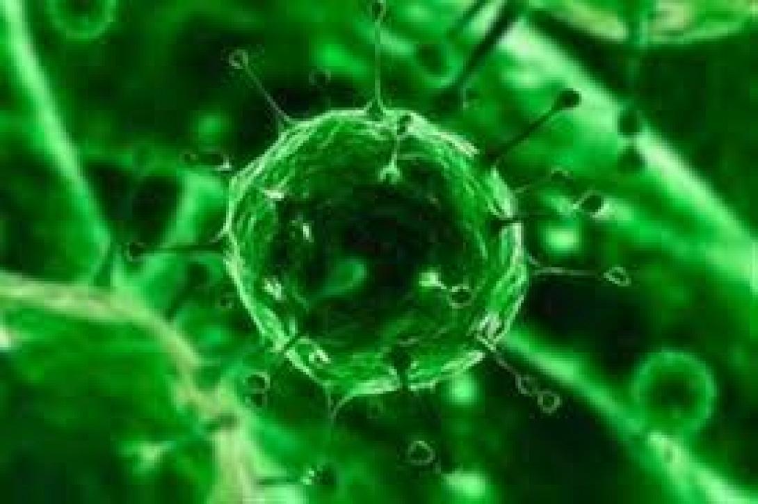 Αρνητικές για τον ιό οι εξετάσεις στις οποίες υποβλήθηκε ασθενής στο Τορόντο. Σε καραντίνα στο Βουκουρέστι με ύποπτα συμπτώματα 50χρονος 