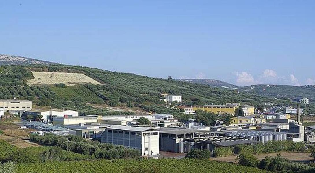 enosi-pezon.jpg