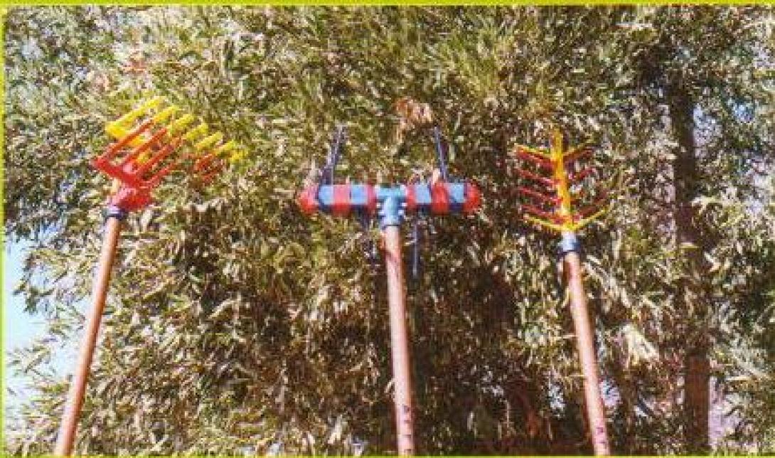 Χανιά: Μπήκε στην αποθήκη και άρπαξε τα εργαλεία για τις ελιές