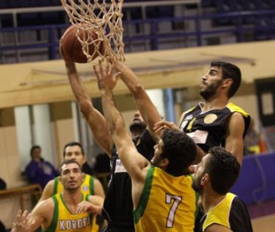 ergoteliskoropi2015_597411218.jpg