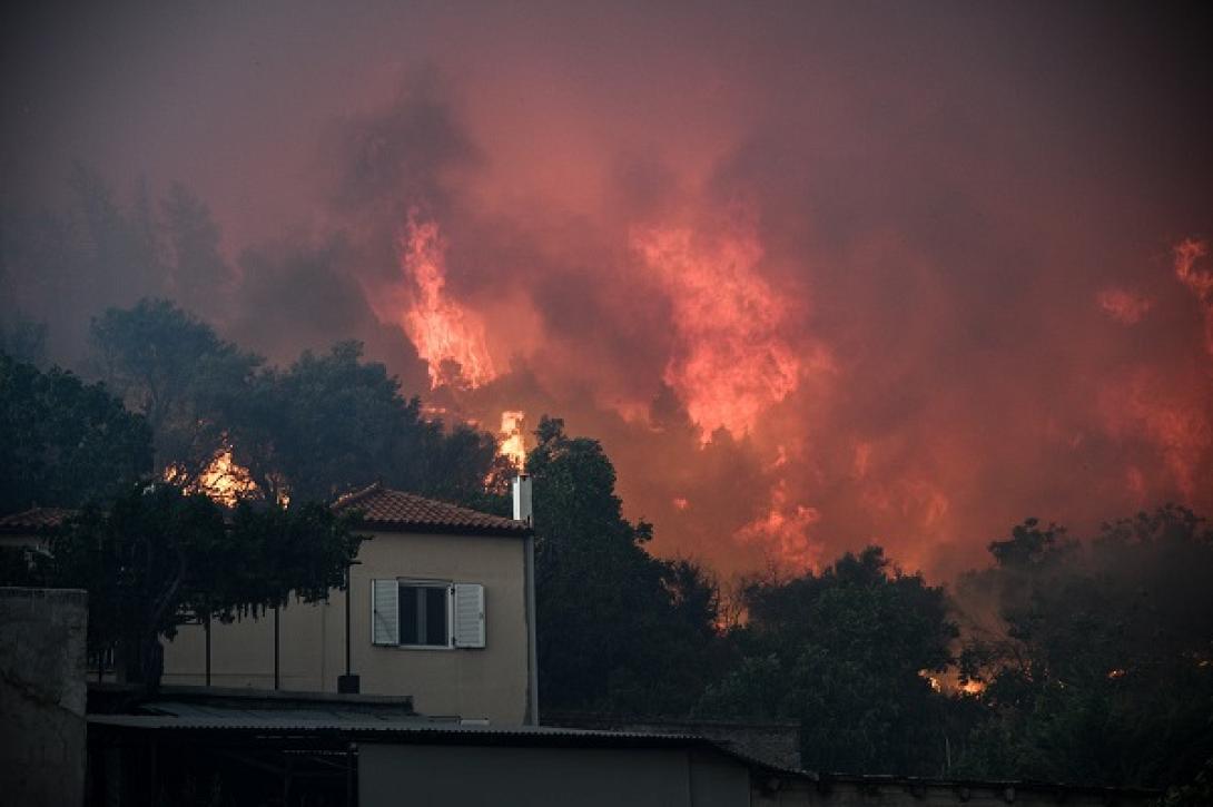 eyvoia2.jpg