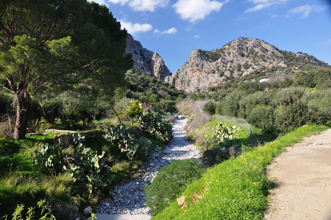 φαράγγι κριτσάς