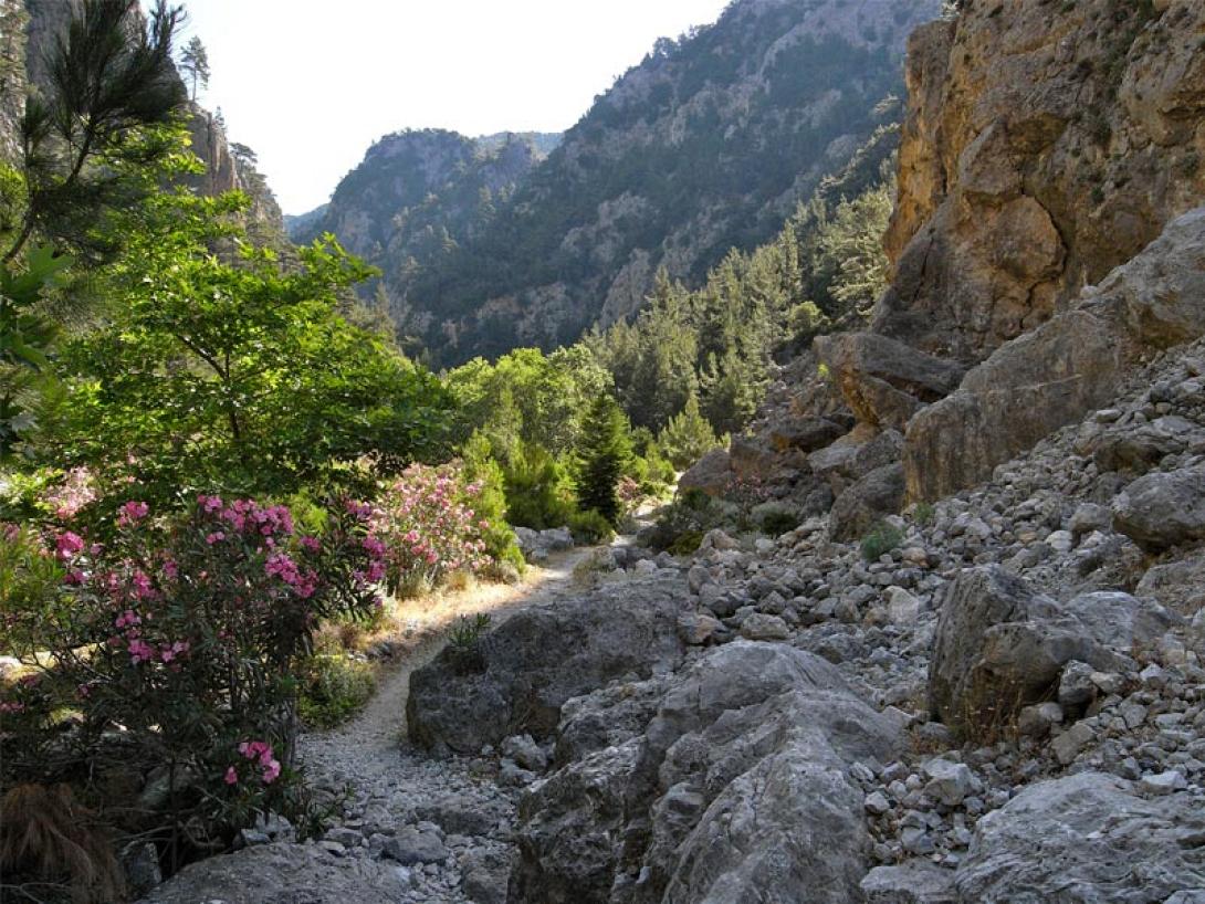 faraggi_agias_eirinis.jpg