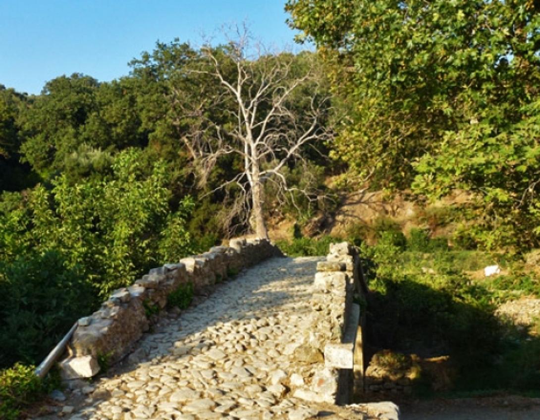 φαράγγι ρίχτη