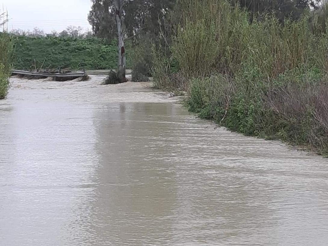 αναποδάρης