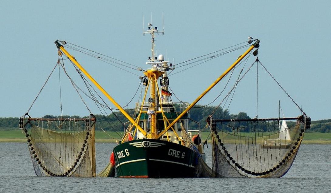 fishing-boat-2645137_960_720.jpg