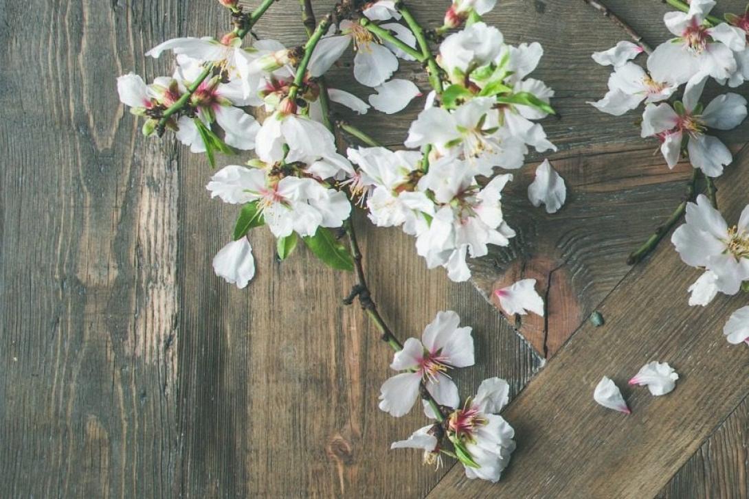 flat-lay-of-spring-easter-table-setting-with-p96gfa2.jpg