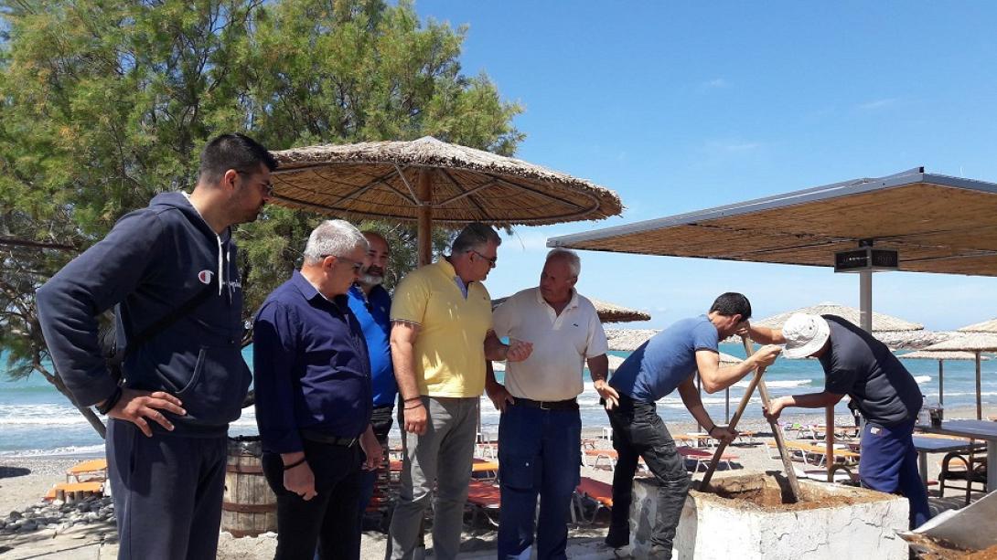 Φοίινικες