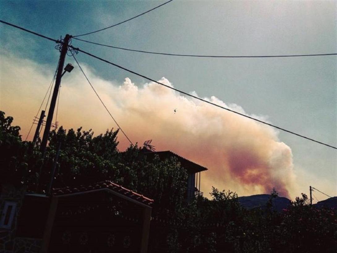 fota_eyvoia.jpg