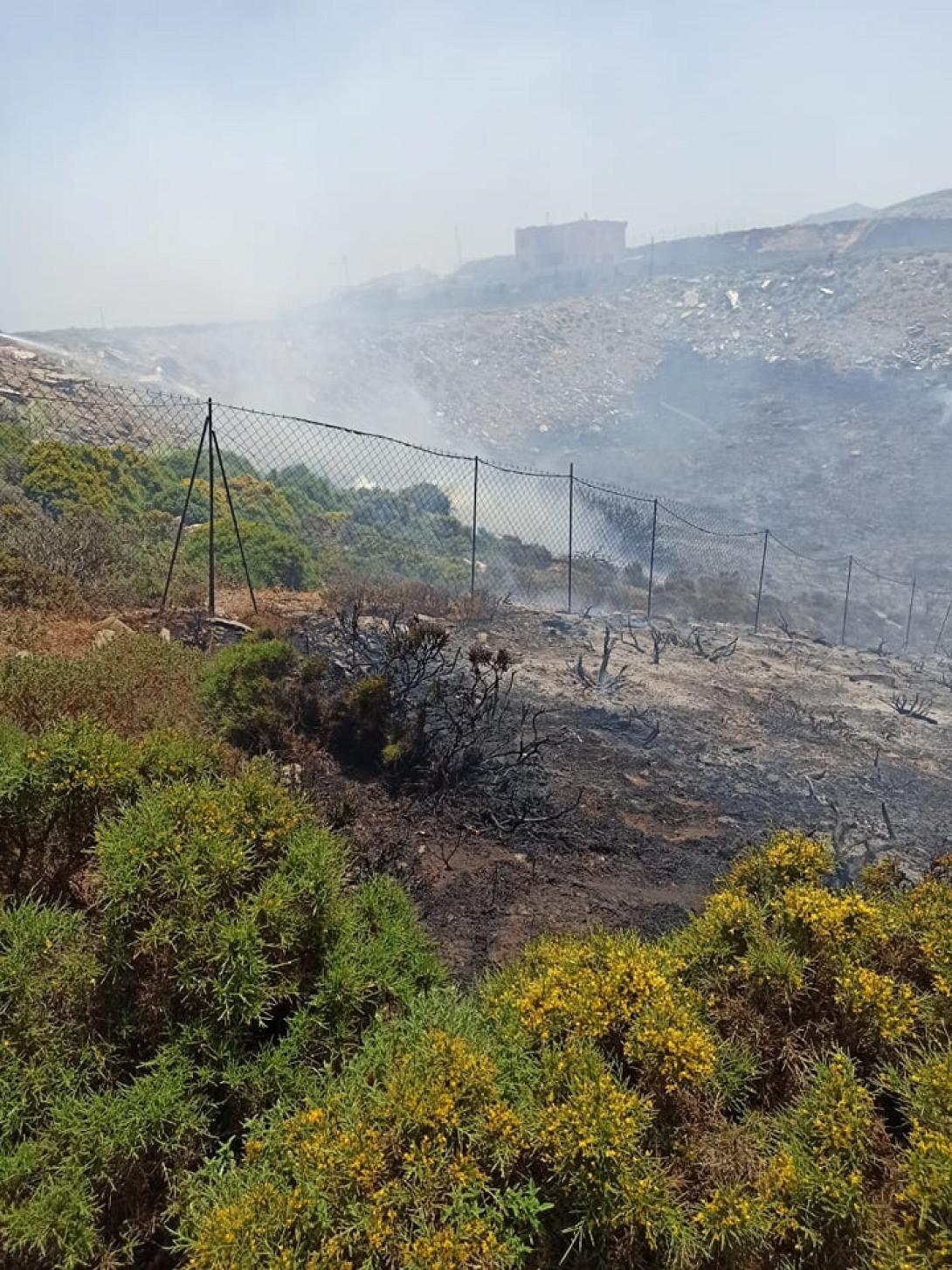 μεγάλη η κινητοποίηση της πυροσβεστικής