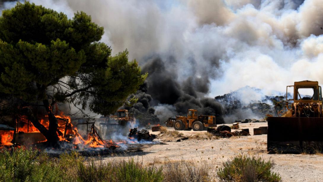 κεχριές φωτιά