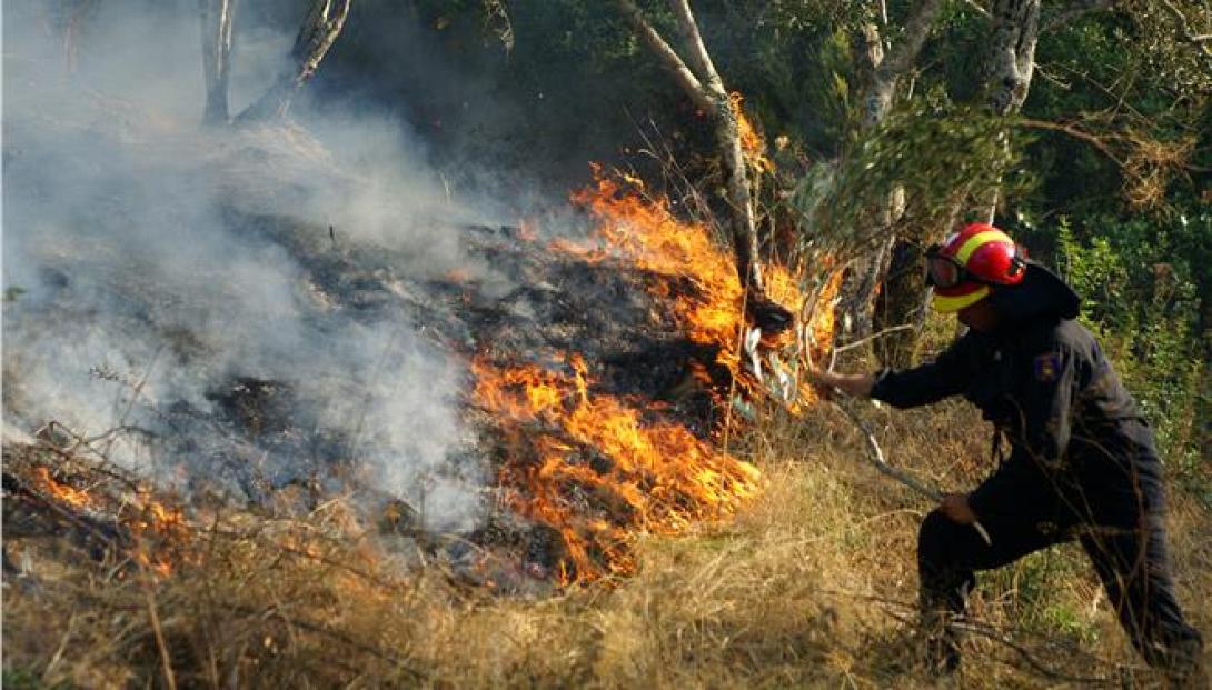 Πύρινη κόλαση στη  Ρογδιά -Ισχυρές δυνάμεις πυρόσβεσης σε ολονύχτια μάχη με τις φλόγες