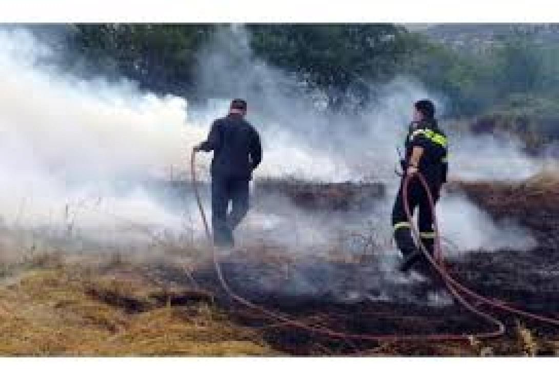 15 στρέμματα δασικής έκτασης κάηκαν στ&#039; Αμάρι