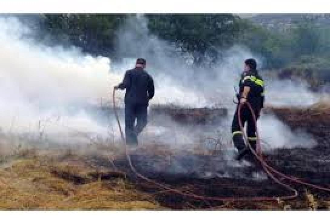 15 στρέμματα δασικής έκτασης κάηκαν στ' Αμάρι