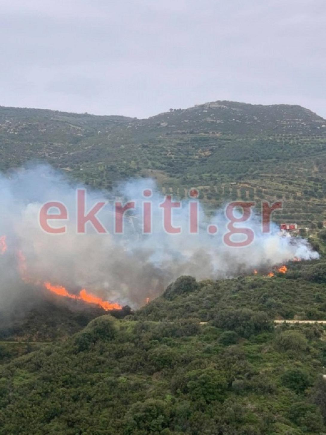 φωτιά μάραθος