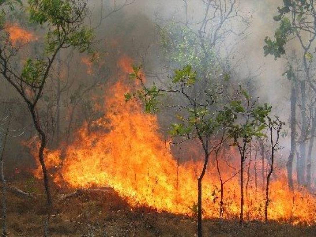 Συναγερμός για πυρκαγιά κοντά σε ταβέρνα στη Ζούρβα Χανίων