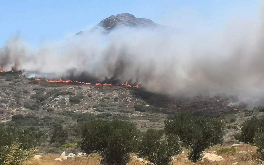 Φωτια Ελαφονησος