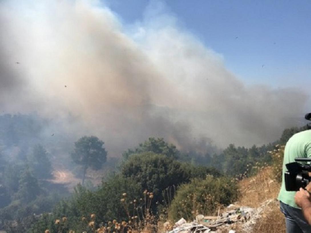 Φωτιά - Κύπρος