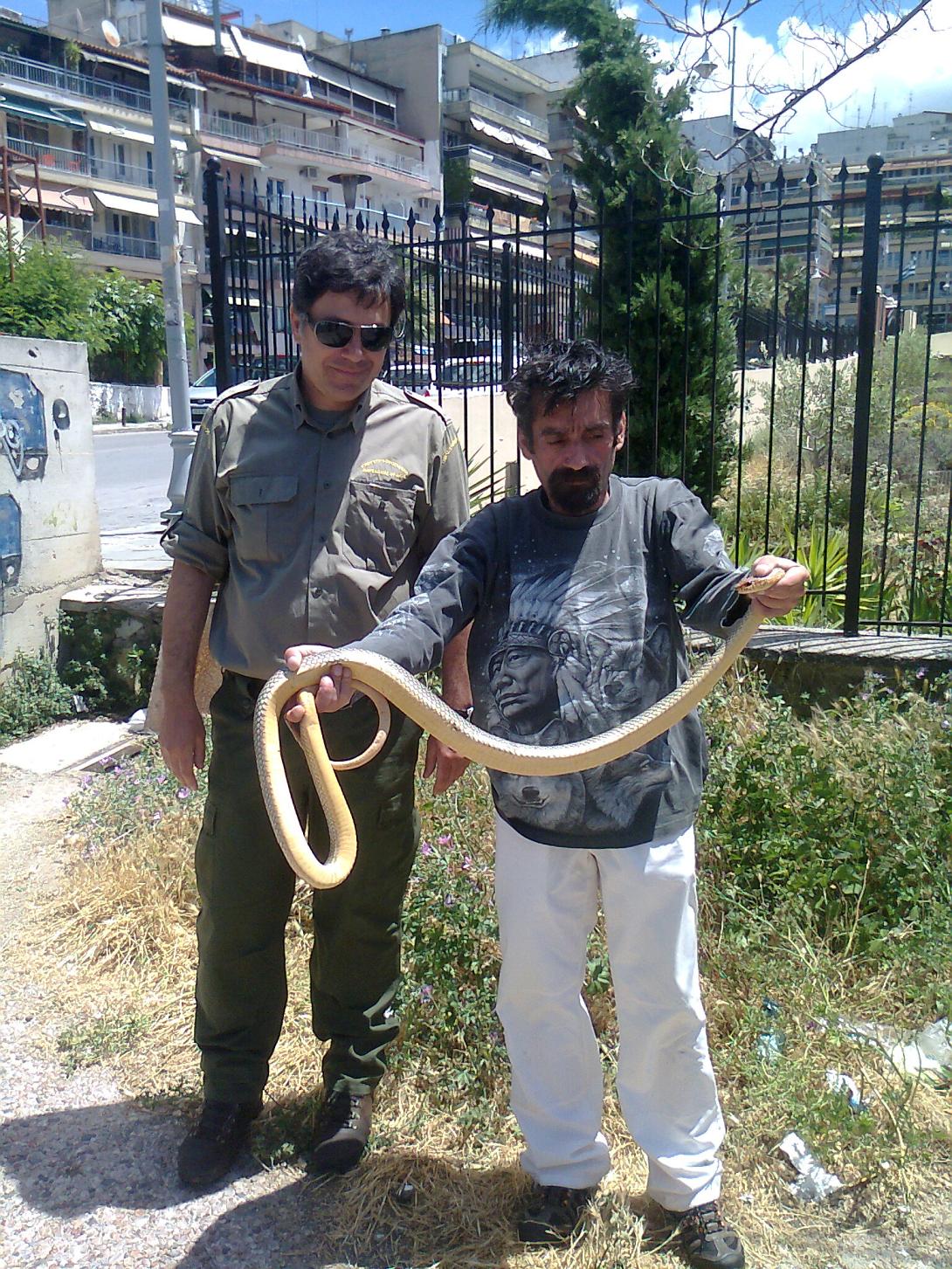 Θεσσαλονίκη: Φίδι δύο μέτρων εντοπίστηκε κοντά σε σχολείο
