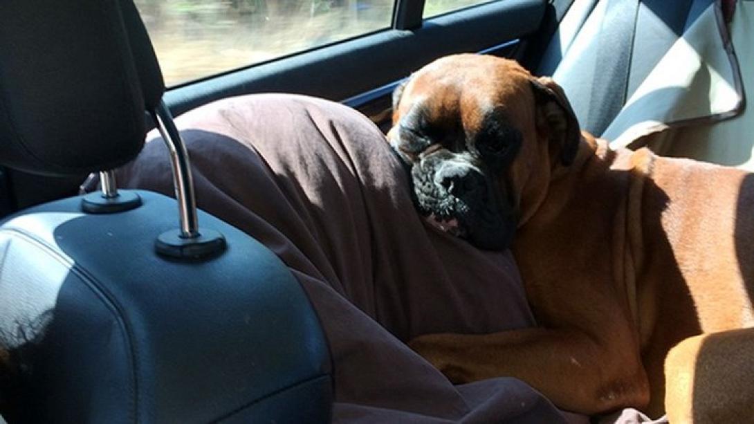 Φωτογραφία αρχείου