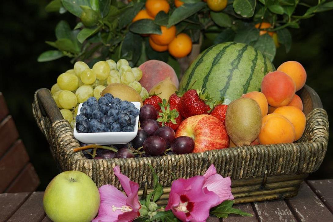 fruit-1.jpg