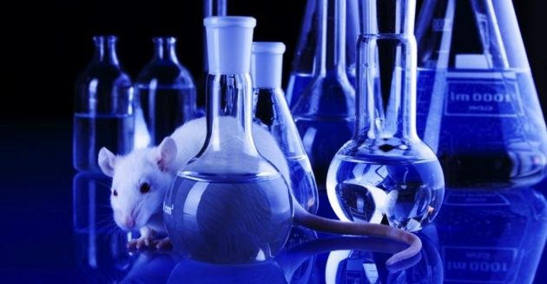 Νέα θεραπεία αποκαθιστά, εν μέρει, την όραση σε τυφλά πειραματόζωα