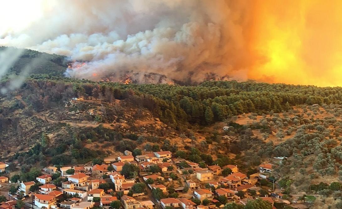 Φωτιά Εύβοια