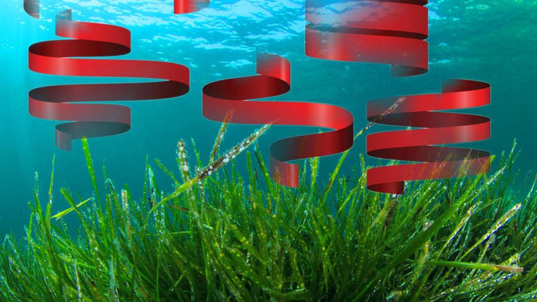 fykia.jpg