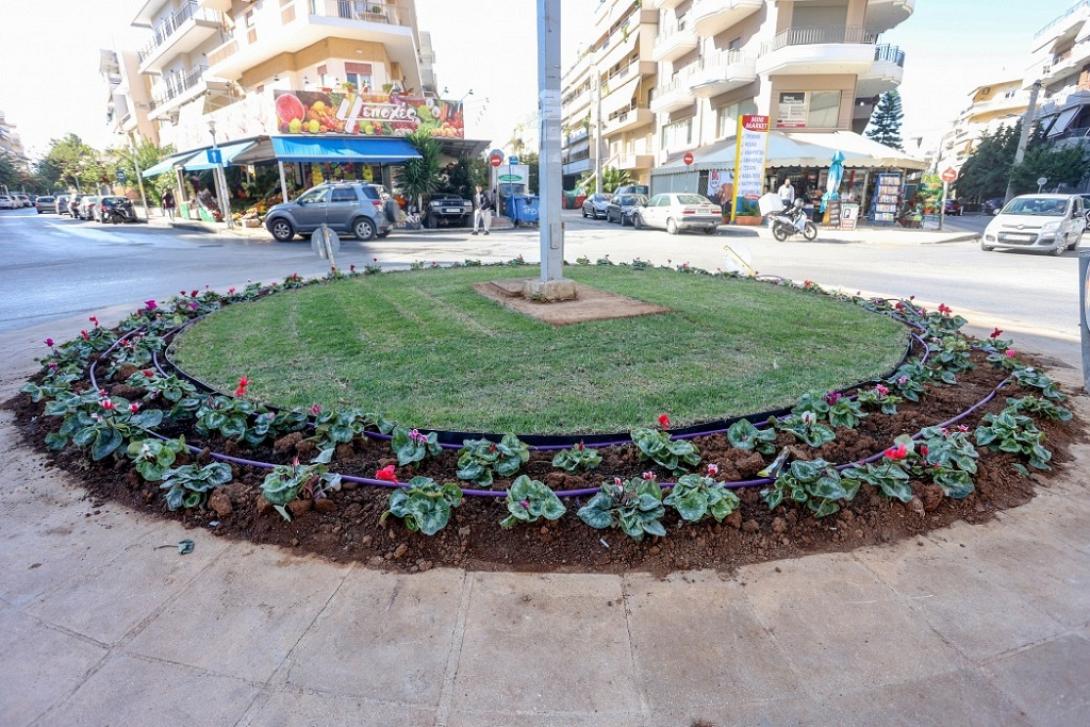 Νέες φυτεύσεις πράσινου