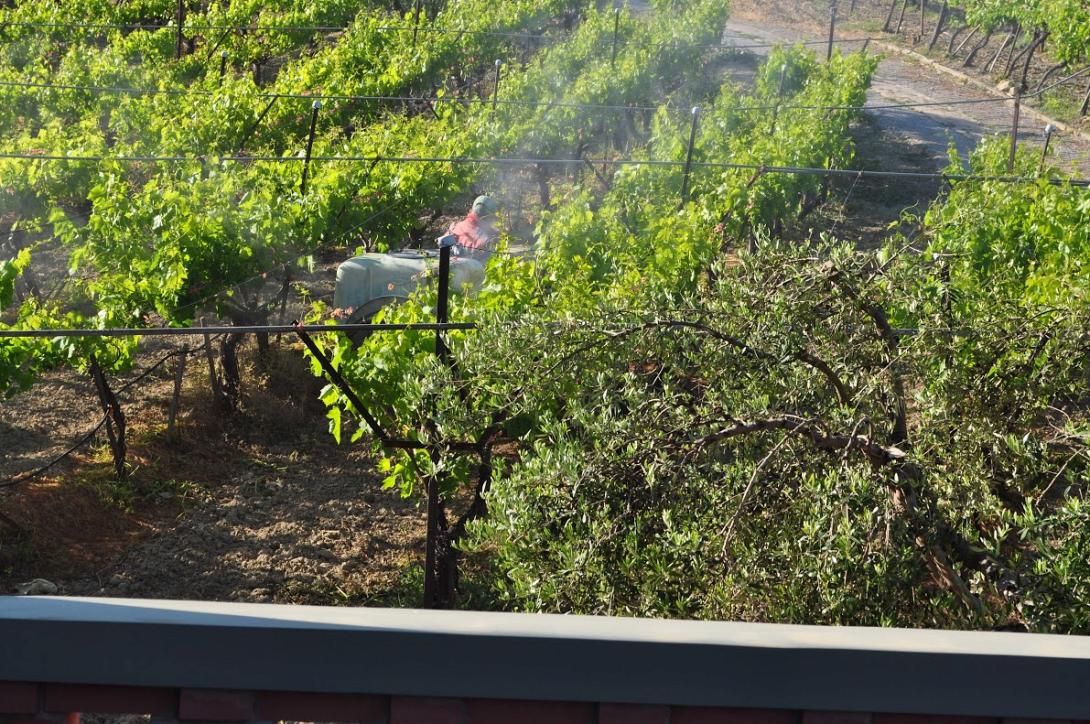 φυτοφάρμακα πενταμόδι