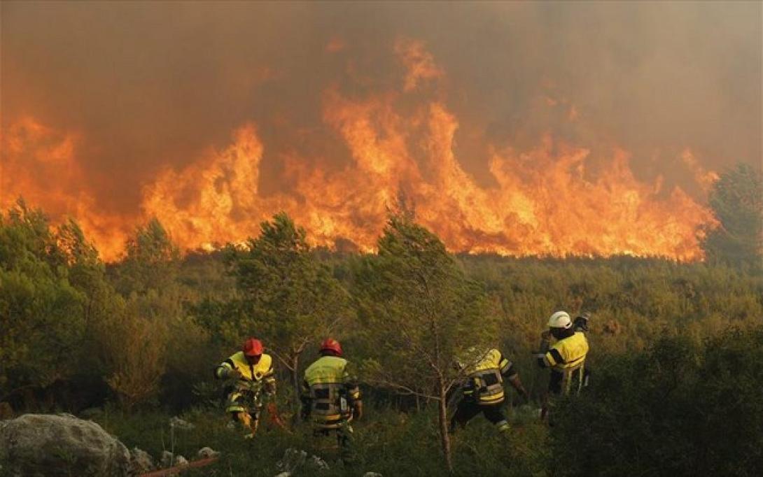 Γαλλία πυρκαγιες