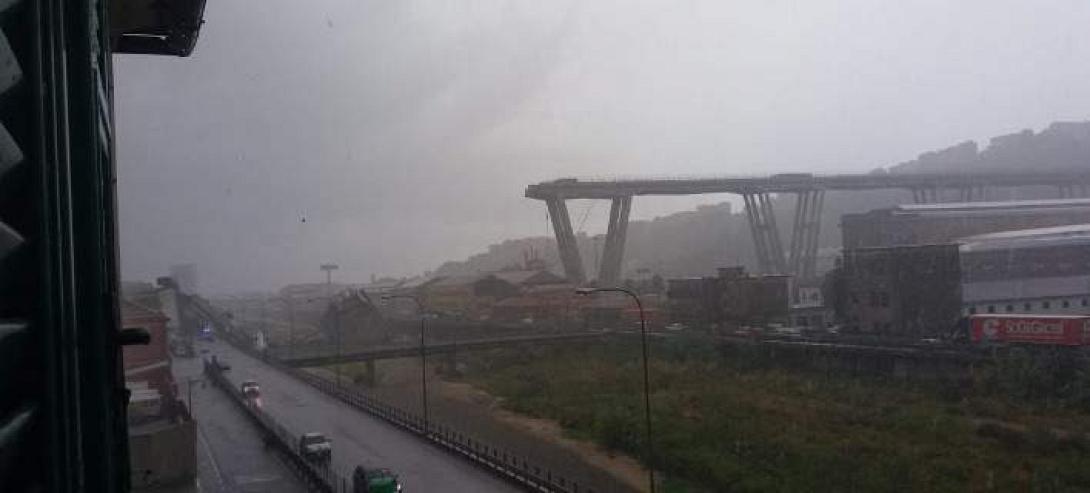 genova3-708.jpg