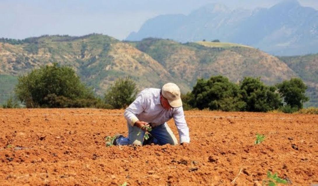Ολοκληρώθηκε η καταβολή της Α' δόσης στους νέους γεωργούς της Κρήτης