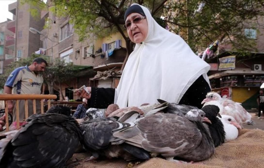 Στους 10 ο αριθμός των νεκρών από τη γρίπη των πτηνών στην Αίγυπτο