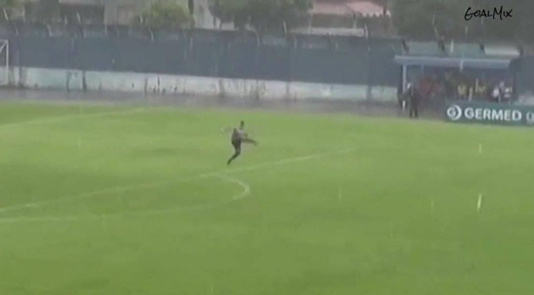 goal_vole.jpg