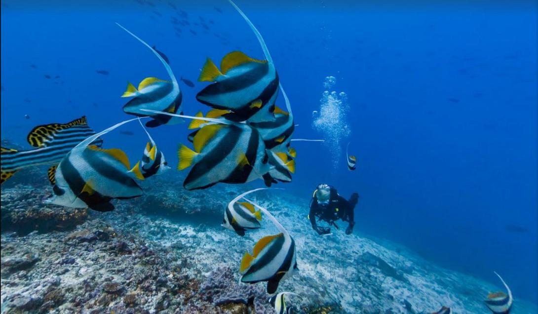 google street view ωκεανος