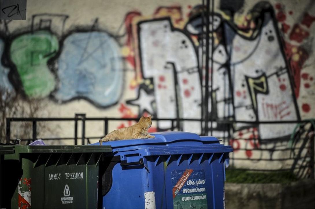 grafiti-eksi.jpg