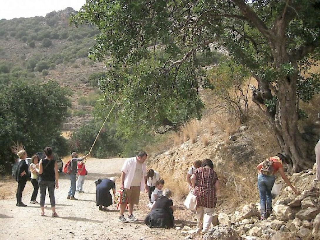 haroypi4.jpg