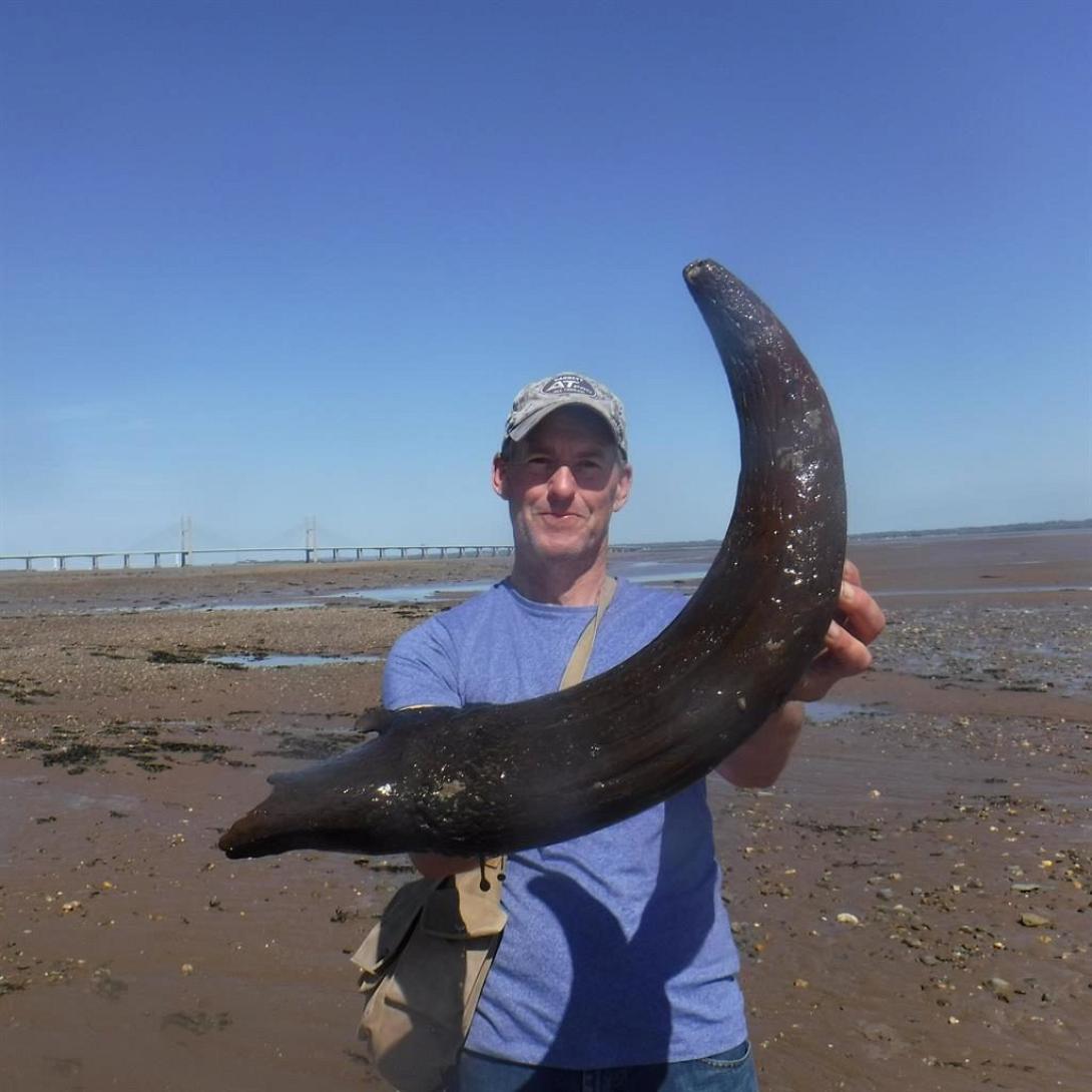  ψαριά...5.000 ετών