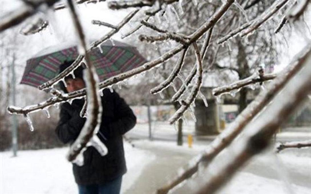 ΗΠΑ: Η παγωνιά έστειλε την πολική αρκούδα στη φωλιά της!