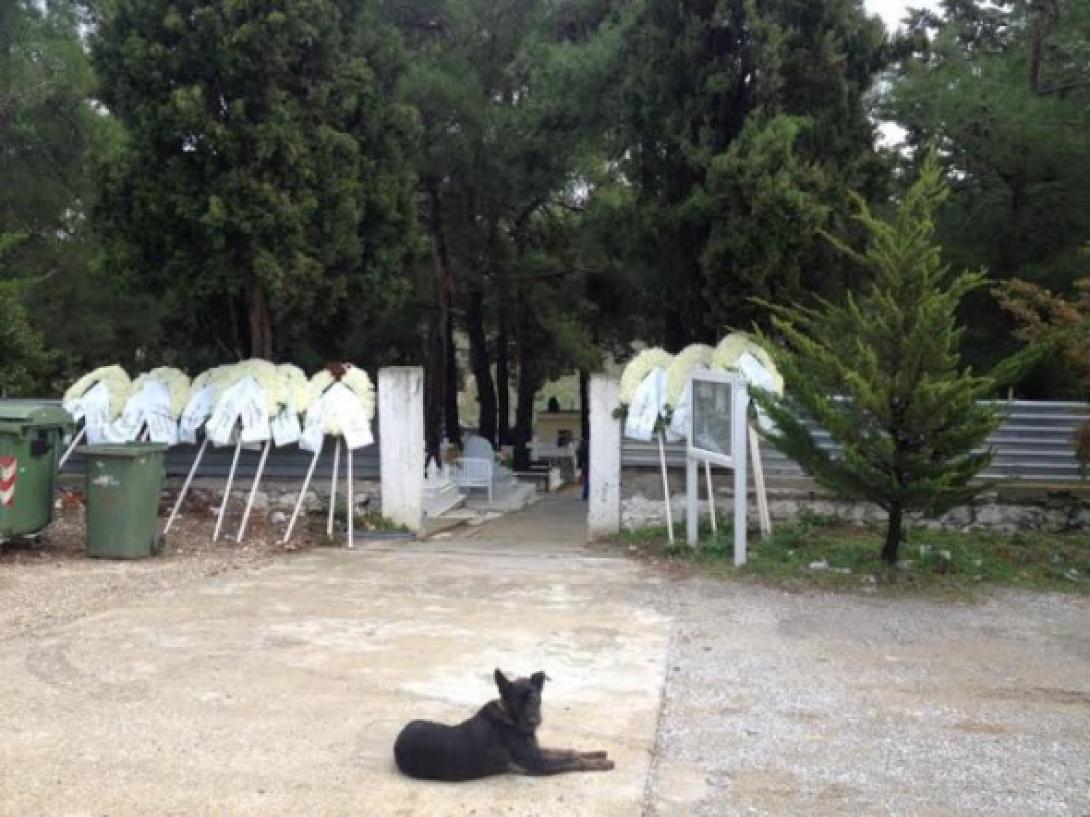 Δεν θάφτηκε ζωντανή η γυναίκα, λένε οι ιατροδικαστές (βίντεο)