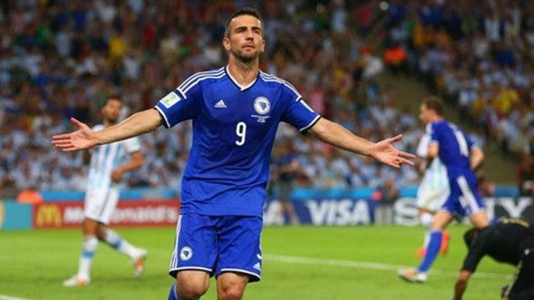 ibisevic.jpg