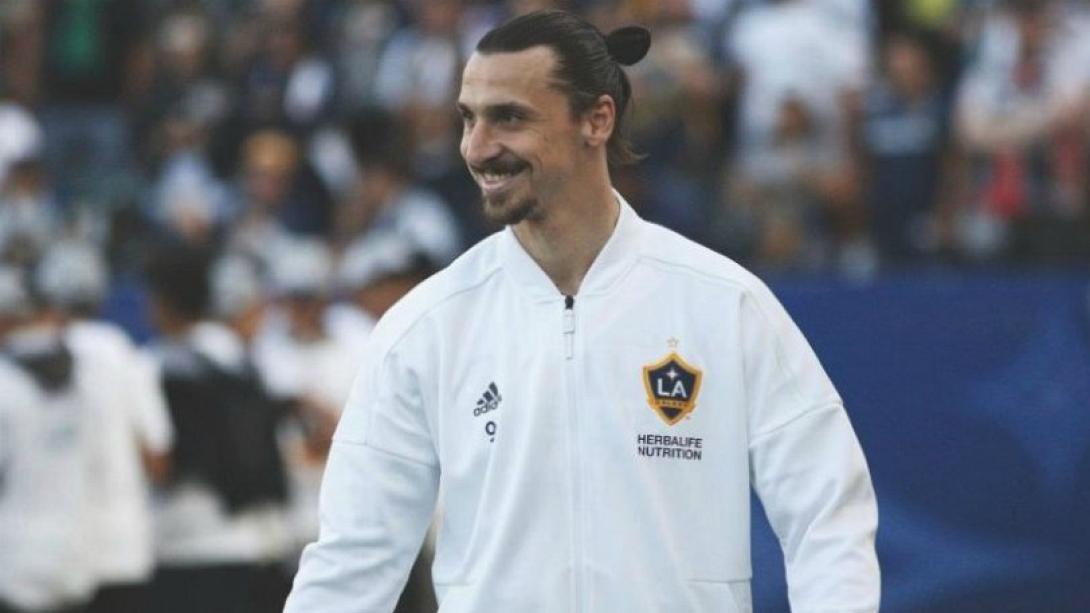 ibra.jpg