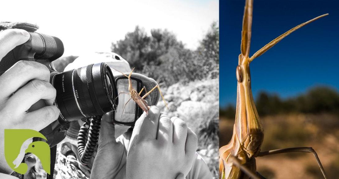 μουσειο φυσικης ιστοριας
