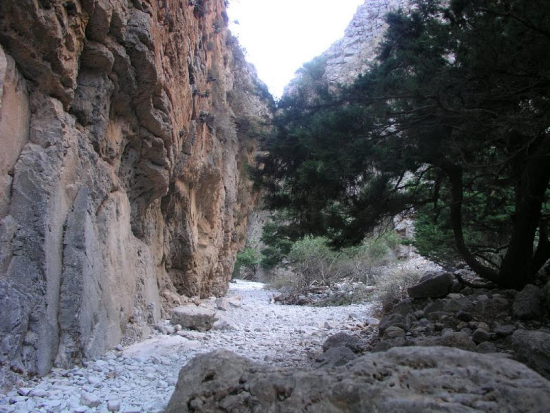 imbros.jpg