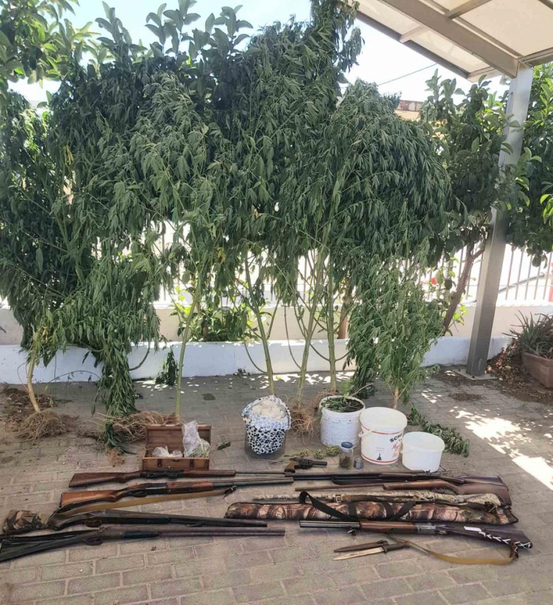 κάνναβη και όπλα