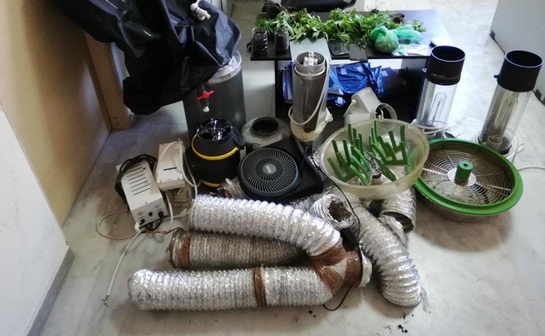 Πλήρης εξοπλισμός υδροπονικής καλλιέργειας κάνναβης