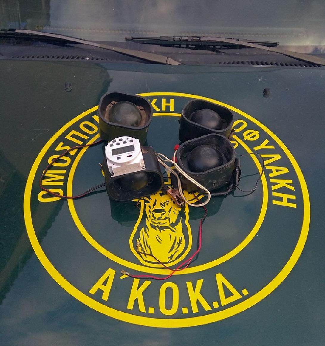 θηροφυλακή