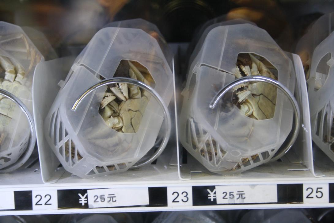 Αυτόματοι πωλητές ζωντανών… καβουριών